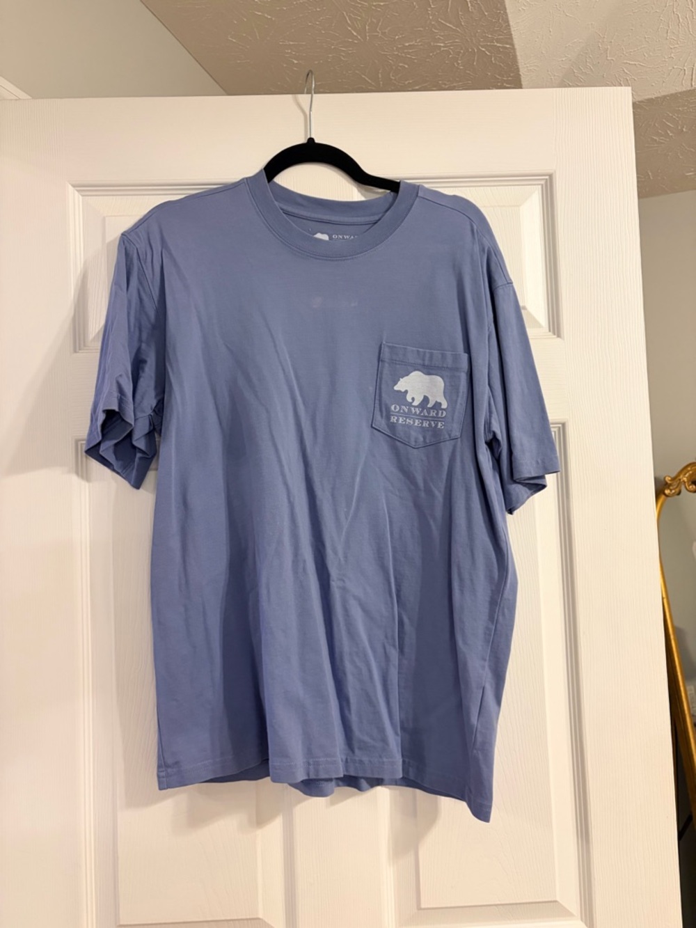 Onward Reserve Men's Short-Sleeve Pocket Tee in Dusty Blue